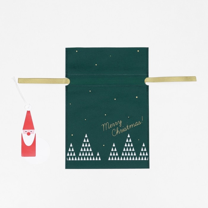 Новый год. Мешок подарочный "Волшебный лес" зелёный, 20 x 30 см