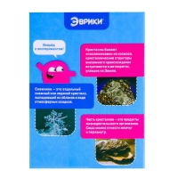 Набор для опытов «Мастерская кристаллов», два кристалла Набор для опытов «Мастерская кристаллов», два кристалла