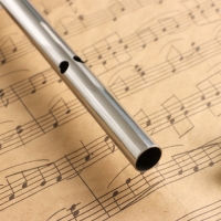 Флейта Music Life 304, 46 см, нержавеющая сталь, тональность G Флейта Music Life 304, 46 см, нержавеющая сталь, тональность G