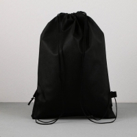 Мешок для обуви &laquo;1 сентября: T-REX динозавр&raquo; нетканное полотно, размер 30 х 40 см