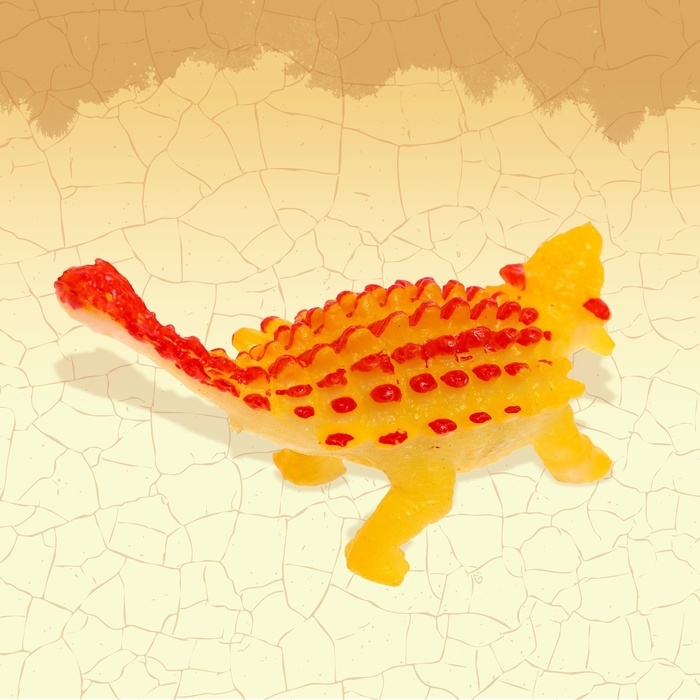 Набор животных &laquo;Мир динозавров&raquo;, 6 фигурок, карта