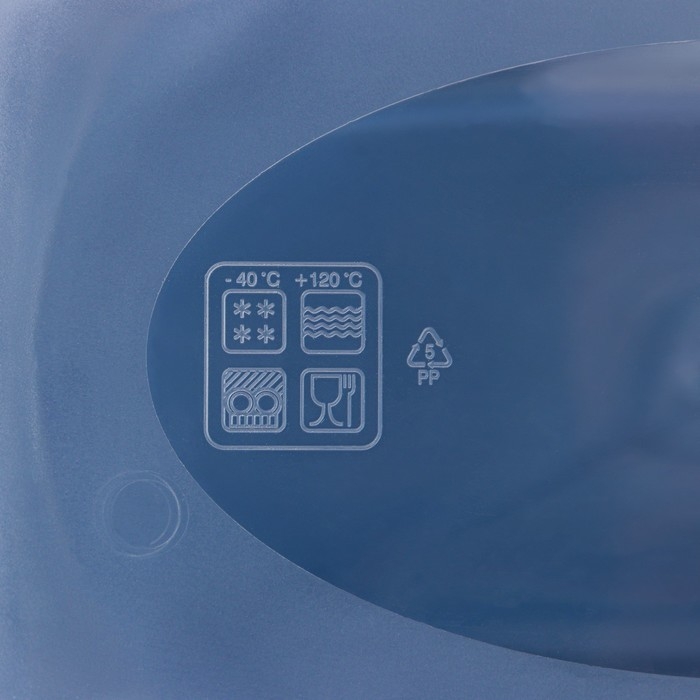 Набор прямоугольных контейнеров для замораживания продуктов &laquo;Морозко&raquo;, 1 л , 3 шт, прозрачные, крышки микс