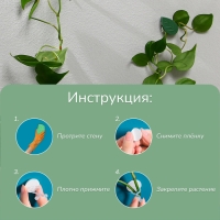 Крепления для вьющихся растений, самоклеящиеся, &laquo;Листок&raquo;, набор 10 шт., Greengo