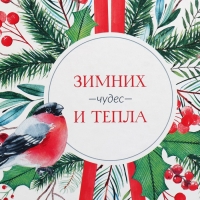 Коробка подарочная &laquo;Зимних чудес&raquo;, 26.2 х 26.2 х 14 см, Новый год