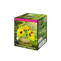 Набор для творчества топиарий &laquo;Подсолнухи в корзине&raquo;, 8+