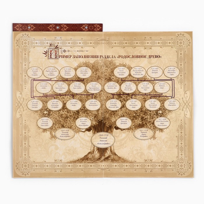 Родословная книга с рамкой под фото &laquo;Родословная книга&raquo;, 50 листов, 21,5 х 23,7 см.