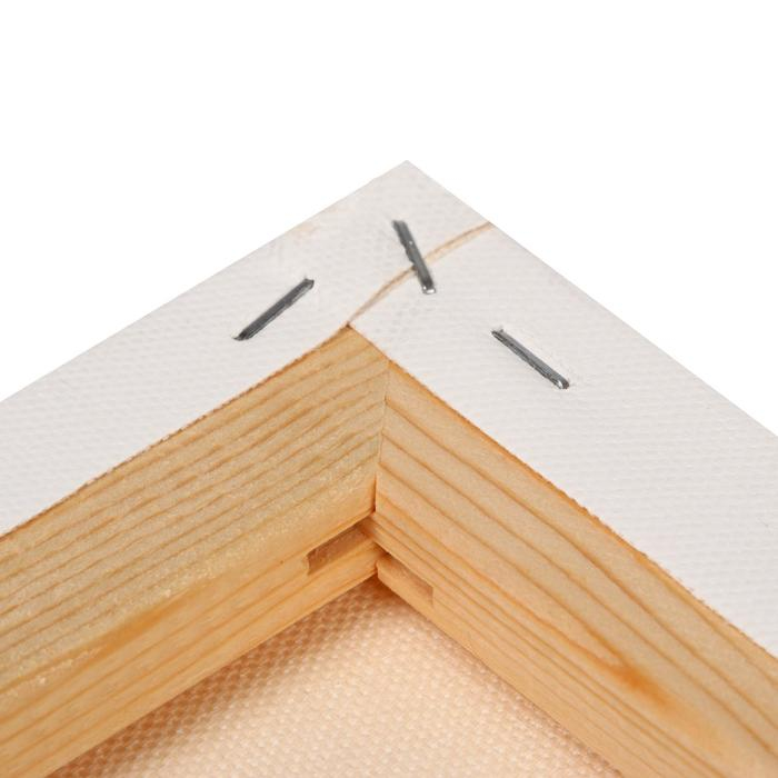 Холст на подрамнике, хлопок 100%, акриловый грунт, 2 х 50 х 70 см, 400 г/м2, крупное зерно, Гамма "Студия"