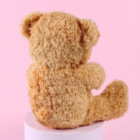 Мягкая игрушка «Ты лучше всех», медведь, цвета МИКС Мягкая игрушка «Ты лучше всех», медведь, цвета МИКС