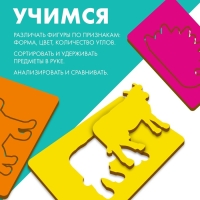 Досочки Сегена &laquo;Животные&raquo;