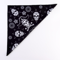 Бандана &laquo;Пират&raquo;, взрослая, 50х50 см