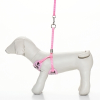 Комплект с мягкой шлейкой "Дэймон", размер М, поводок 120 х 1,2 см, розовый