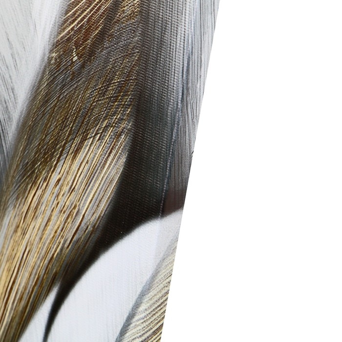 Картина на холсте Картина на холсте "Пёрышки" 50*70 см