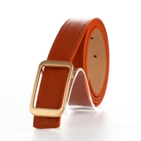 Ремень женский, ширина 2,6 см, пряжка металл, цвет рыжий Ремень женский, ширина 2,6 см, пряжка металл, цвет рыжий