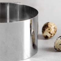 Форма для выпечки и выкладки &laquo;Круг&raquo;, h-6,5, d-12 см