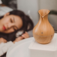 Увлажнитель воздуха LHU-01, ультразвуковой 200 мл, подсвет., светлое дерево Увлажнитель воздуха LHU-01, ультразвуковой 200 мл, подсвет., светлое дерево