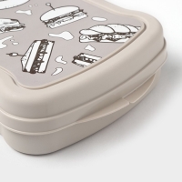 Бутербродница RICCO, 17&times;13&times;4.2 см, с декором Чемита