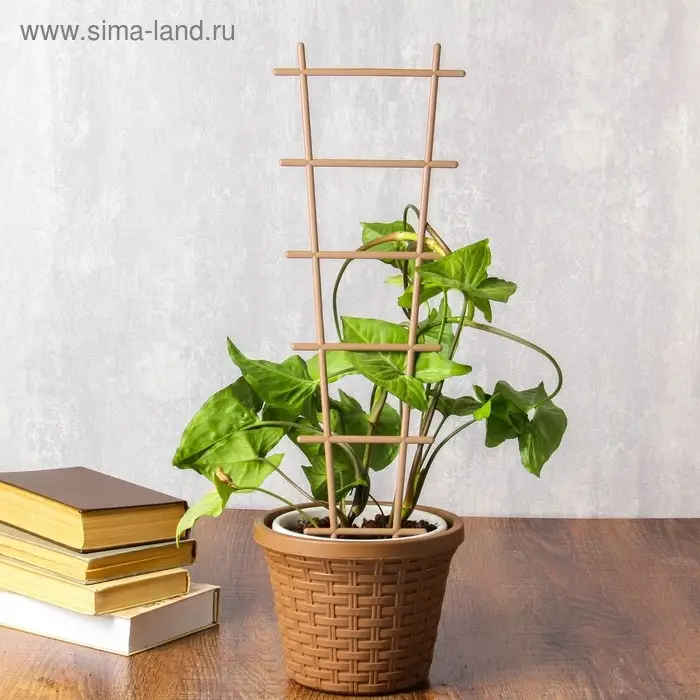 Шпалера, 56&times;19&times;0.5 см, пластик, цвет МИКС, &laquo;Лесенка&raquo;