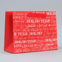 Пакет подарочный ламинированный горизонтальный, упаковка, &laquo;Люблю&raquo;, MS 23 х 18 х 10 см
