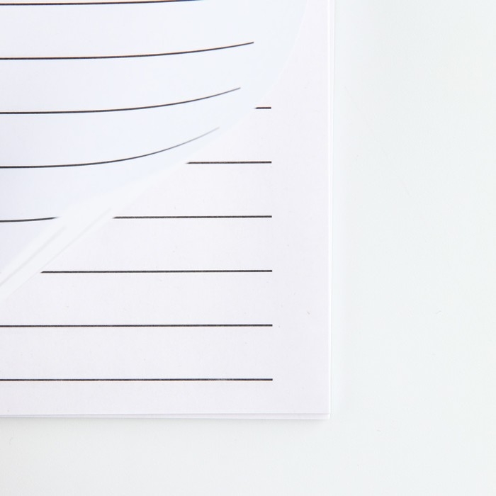 Набор блокнот А6, 32 листа, наклейки, магнитные закладки &laquo;Милый котенок&raquo;