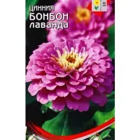Семена цветов Цинния Бонбон лаванда 24 шт