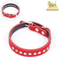 Ошейник "Бархат и стразы", 31 х 1,3/2 см, ОШ 22-28 см, красный Ошейник "Бархат и стразы", 31 х 1,3/2 см, ОШ 22-28 см, красный