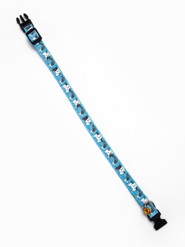 Ошейник Ошейник "Котята", 40 х 1,5 см, голубой