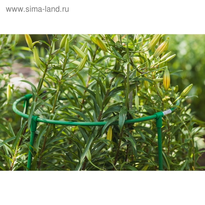 Кустодержатель, d = 50 см, h = 100 см, ножка d = 1 см, металл, зелёный, троеножка Кустодержатель, d = 50 см, h = 100 см, ножка d = 1 см, металл, зелёный, троеножка