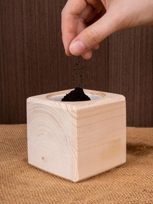 Набор для выращивания &laquo;Экокуб&raquo;, сосна