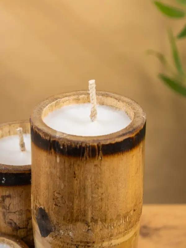 Свеча в бамбуке тройная &laquo;Птица&raquo;, 14&times;14&times;30 см, 100 мл, бежевая