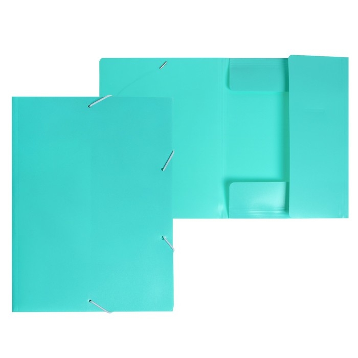 Папка на резинке А4, 500 мкм, Calligrata, Pastel, корешок 20 мм, до 150 листов, тиснение Папка на резинке А4, 500 мкм, Calligrata, Pastel, корешок 20 мм, до 150 листов, тиснение "песок", мятный