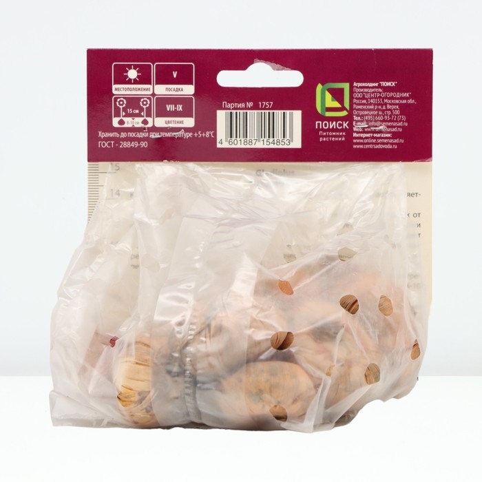 Гладиолус крупноцветковый &laquo;Питер Пирс &raquo;, луковица цветов в пакете с перфорацией, р-р 10/12, 10 шт.