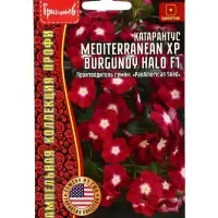 Семена цветов Катарантус Средиземноморский XP Burgundy Halo F1 (Mediterranean) 5шт.  12.29 г. 109673