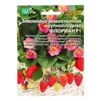 Семена Земляника "Флориан" , 5 шт