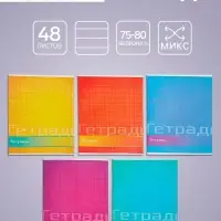 Тетрадь 48 листов в линейку Calligrata &laquo;Цвет и графика&raquo;, обложка мелованная бумага, блок №2, белизна 75% (серые листы), МИКС