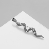 Брошь &laquo;Змейка&raquo;, цвет белый в серебре