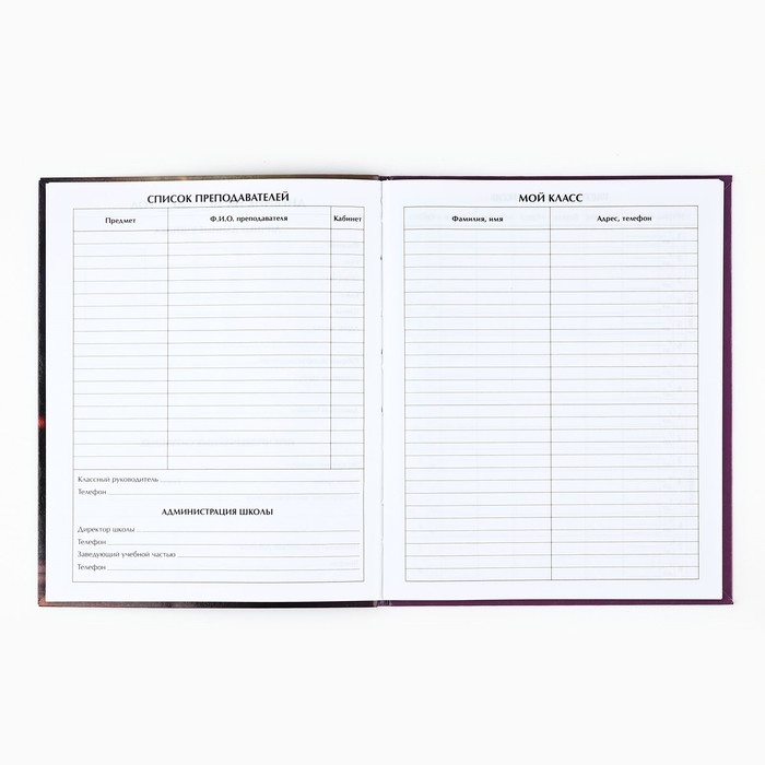 Дневник школьный для 1-11 класса, в интегральной обложке, 40 л. &laquo;1 сентября:Котёнок балерина&raquo;