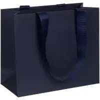 Пакет бумажный Manilla S, синий