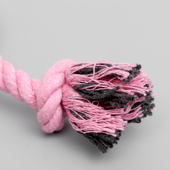 Игрушка мягкая для собак Игрушка мягкая для собак "Зайка с канатом", с пищалкой, 18 см, розовая