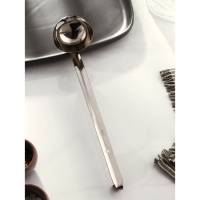 Половник из нержавеющей стали Доляна Everyday, 60 мл, 26,5&times;6 см, толщина 3 мм, серебряный