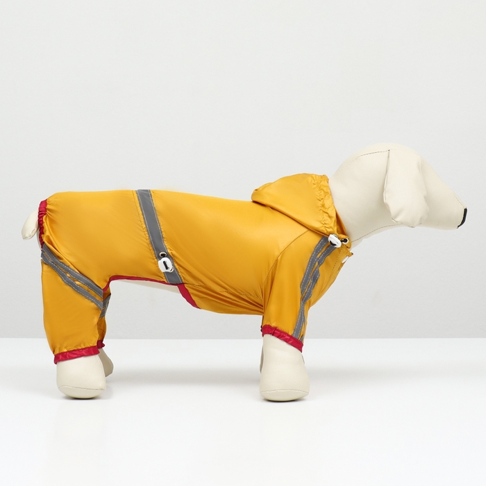 Комбинезон для собак, демисезонный, размер S (ДС 21-23, Ог 31-33, ОШ 23-25 см), жёлтый Комбинезон для собак, демисезонный, размер S (ДС 21-23, Ог 31-33, ОШ 23-25 см), жёлтый