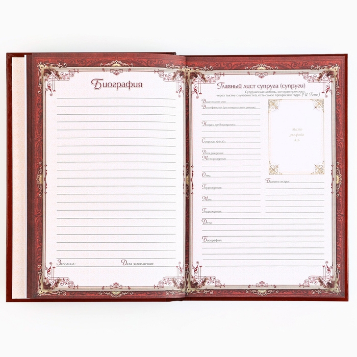 Родословная книга с новогодним пояском &laquo;Новый год: Каждый день&raquo;, 16,5 х 24 см.