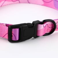 Набор &laquo;Нежность&raquo;, застёжка - фастекс, поводок 2 м и ошейник 28-46 см