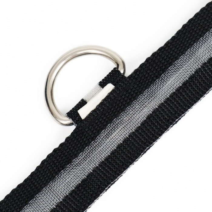 Ошейник с подсветкой размер М, ОШ 40-48 х 2,5 см, 3 режима свечения чёрный