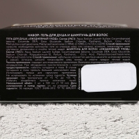 Подарочный набор косметики &laquo;Год сулит успех&raquo;, гель для душа и шампунь для волос, 2 х 100 мл, Новый Год