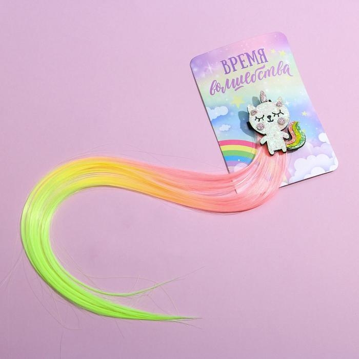 Заколки для волос , цветная прядь &laquo;Время волшебства&raquo;