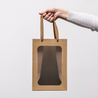 Пакет подарочный, с окном,  30 х 20 х 16 см, крафт, 1шт.