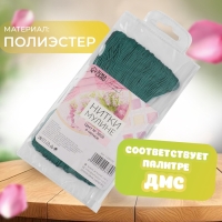 Набор ниток мулине №3808, 8 &plusmn; 1 м, 6 шт, цвет тёмно-бирюзовый