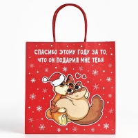 Пакет подарочный новогодний &laquo;Спасибо этому году&raquo;, 22 х 22 х 11 см