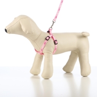 Комплект "Цветные следы", ширина 1 см, поводок 120 см, шлейка 23-35 см, розовый Комплект "Цветные следы", ширина 1 см, поводок 120 см, шлейка 23-35 см, розовый