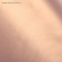 Пленка матовая для цветов, двухсторонняя,"Зефир", ванильный, бронзовый, 57 см х 5 м Пленка матовая для цветов, двухсторонняя,"Зефир", ванильный, бронзовый, 57 см х 5 м